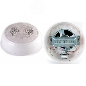 Громкоговоритель настенный