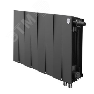 Радиатор биметаллический секционный 300/100/8 боковое подключение цвет Noir Sable