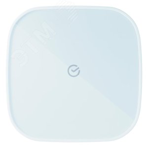 Кнопка умная Sber