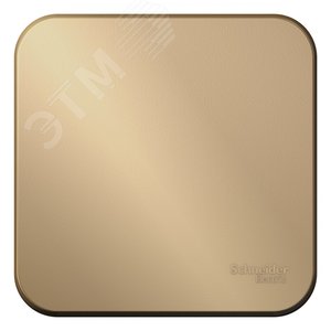 Переключатель BLANCA одноклавишный наружный (схема 6) с изоляционной пластиной 10A 250B титан