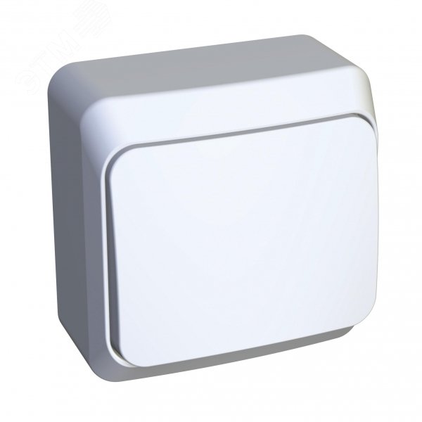 ЭТЮД выключатель наружный с самовозвратом 10 AX,  белый