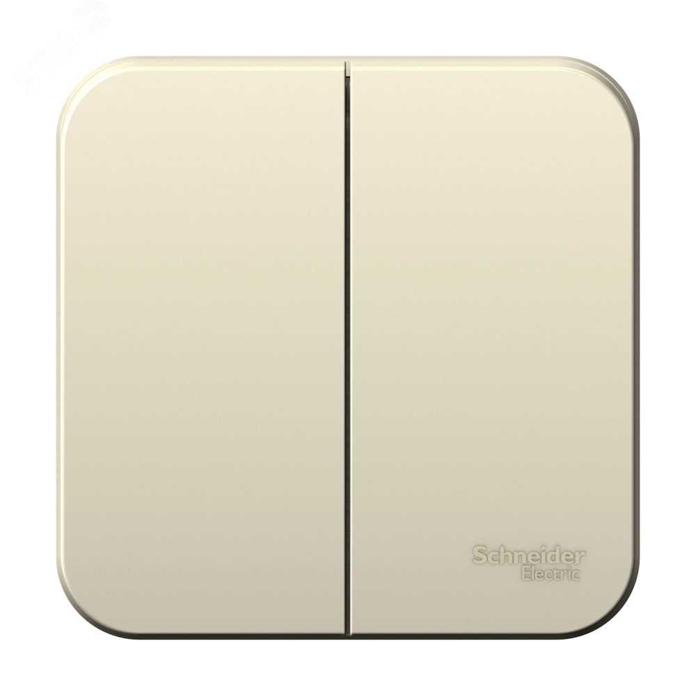 BLANCA  двухклавишный выключатель наружный  (cх.5), 6а, 250в, молочный