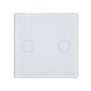 Панель выключателя стеклянная в рамку 2кл белая (47х47мм)