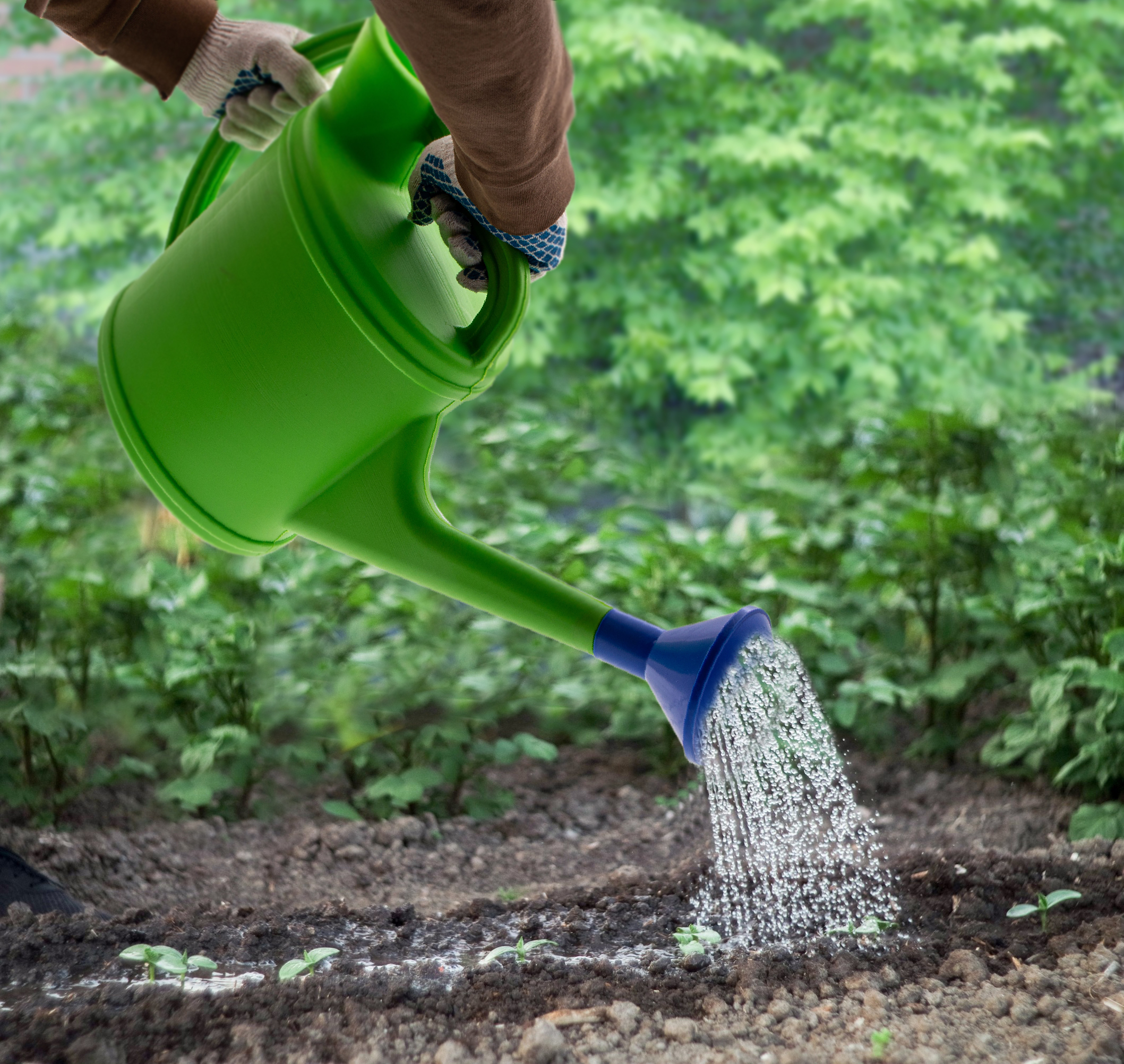Лейка садовая, 10 л, с горловиной, пластмассовая Сибртех