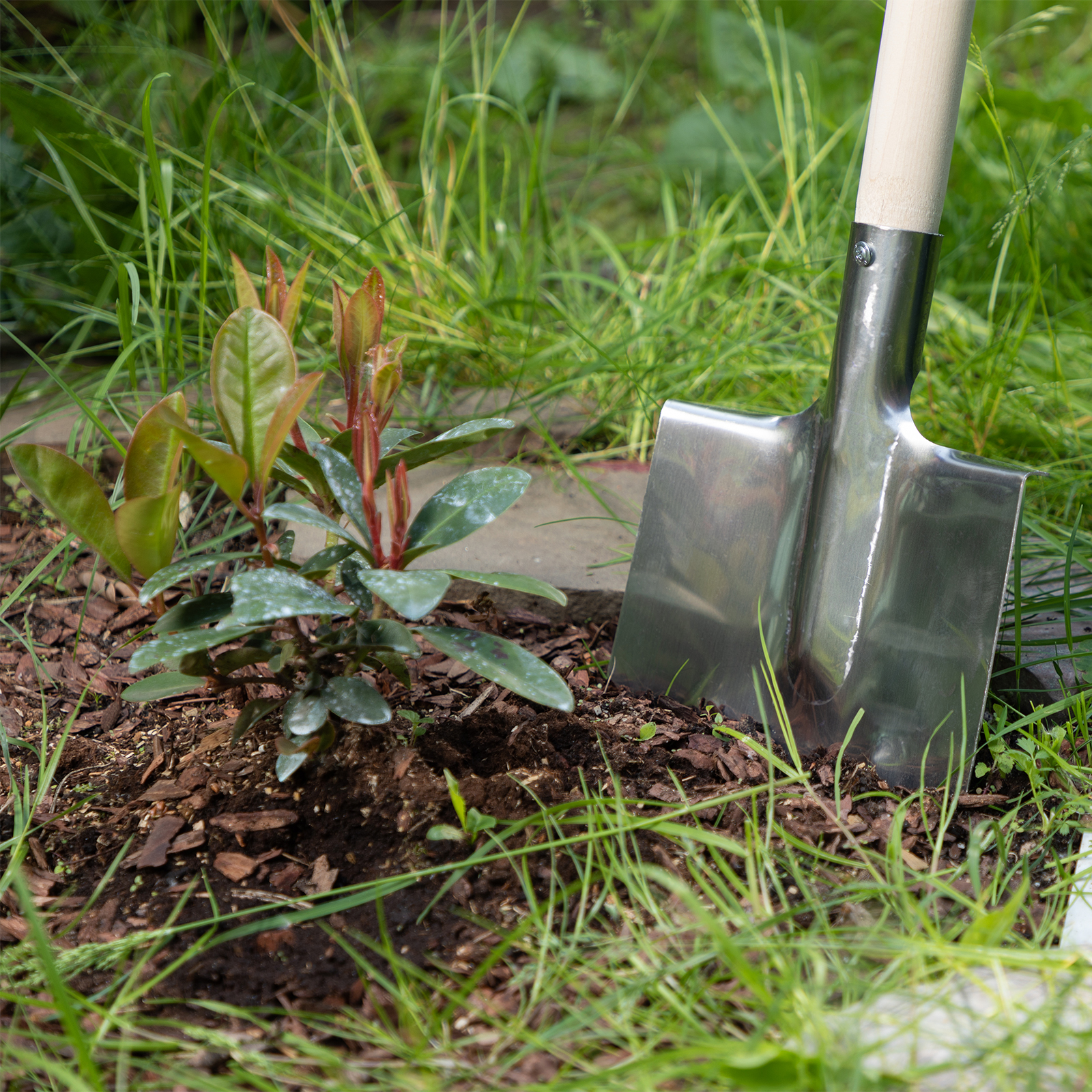 Лопата штыковая, нержавеющая сталь, 200х265 мм, ребра жесткости, без черенка, Сибртех