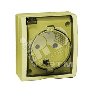 15 Aqua Розетка 2Р+Е Schuko со шторками с крышкой полупр. IP54 16А 250В винтовой зажим S15A сл. кость