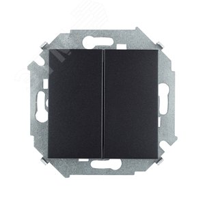 15 Выключатель двухклавишный с/у 10А 250В графит