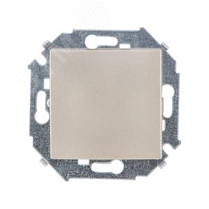Выключатель одноклавишный, скрытый 16А 250В, винтовые зажимы, шампань