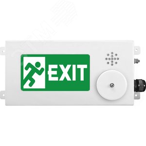 Оповещатель взрывозащищенный свето-звуковое табло малогабаритное ТСЗВ-Exm-М-Прометей-МИНИ,          ''Выход'', 12-36В