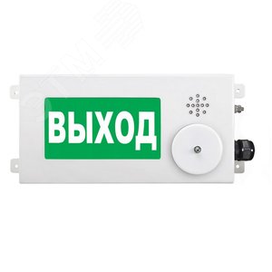 Оповещатель взрывозащищенный световое табло       малогабаритное ТСВ-Exi-M-Прометей-МИНИ, ''Газ!Не  входи!'', 12-36В