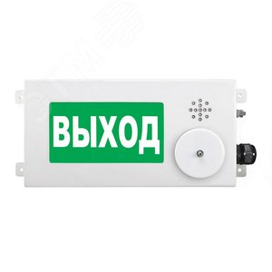 Оповещатель взрывозащищенный световое табло       малогабаритное ТСВ-Exi-M-Прометей-МИНИ, ''Газ     уходи'', 12-36В