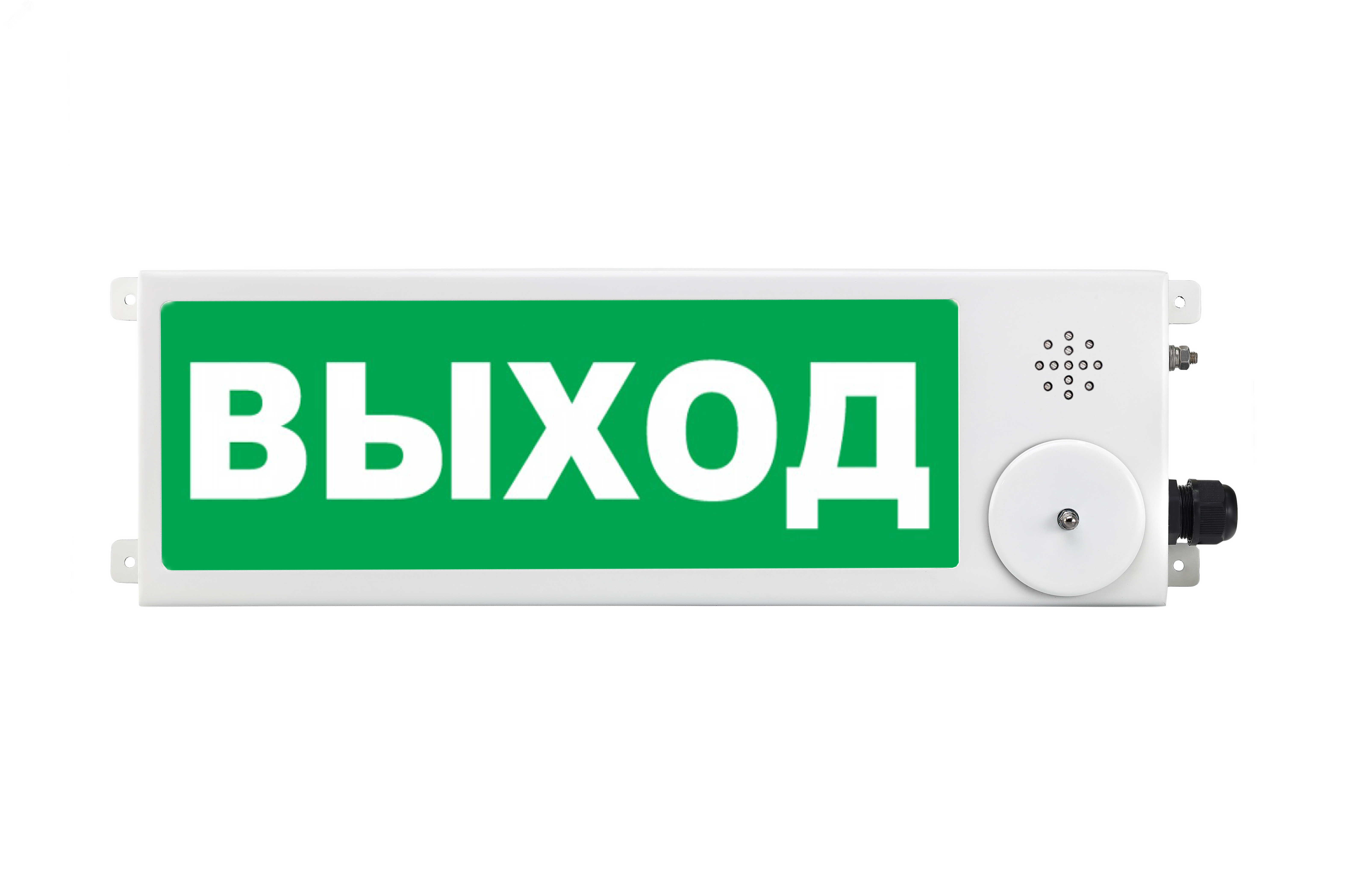 Оповещатель взрывозащищенный свето-звуковое табло ТСЗВ-Exi-М-Прометей, ''Метан'', К/Б, 12-36В