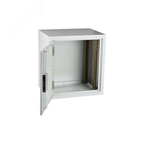 Шкаф антивандальный настенный ШАН-М 19д 12U(600*450)