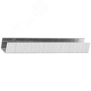 STAYER тип 140 (G/11/57), 8 мм, 1000 шт, калибр 20GA, скобы для степлера, Professional (31610-08)