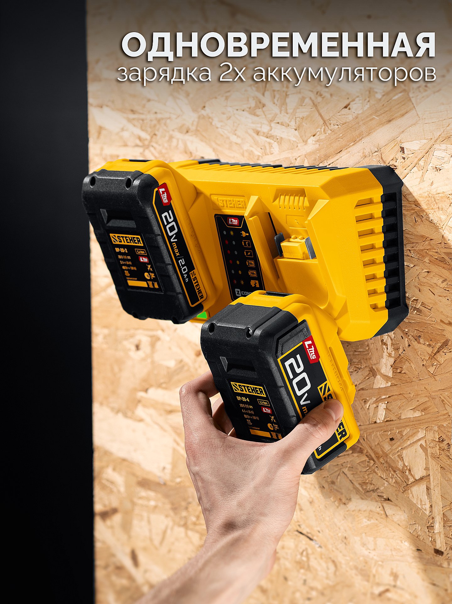 STEHER 20 В, 2 порта, 2 х 3 А, зарядное устройство для LMS АКБ (CH-20-26)