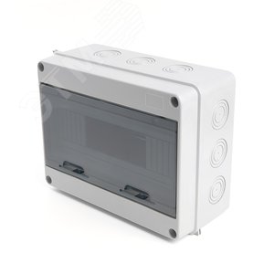 Бокс настенный 12 модулей, пластик, IP65, EBX50-1/12-65