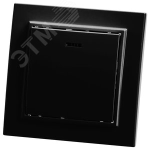 Выключатель одноклавишный c индикатором, 250В, 10А, серия Эрна, черный Stekker