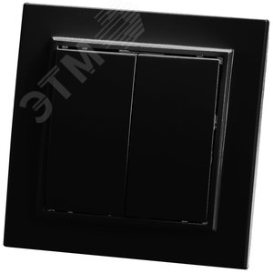 Выключатель двухклавишный, 250В, 10А, серия Эрна, черный Stekker