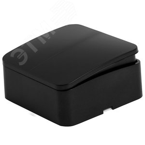 Выключатель двухклавишный 250В 10А серия София черный матовый STEKKER