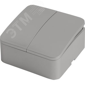 Выключатель 2-клавишный 250В 10А серия София серебро STEKKER