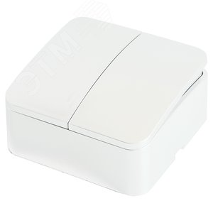 Выключатель 2-клавишный 250В 10А серия София белый STEKKER