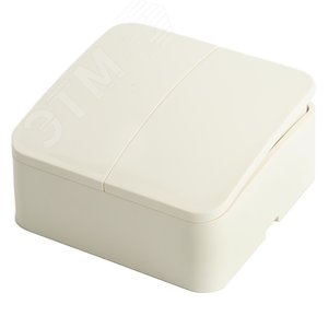 Выключатель 2-клавишный 250В 10А серия София слоновая кость STEKKER