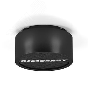 Громкоговоритель Stelberry F-310B чёрный          потолочно-настенный на 10 Ватт.