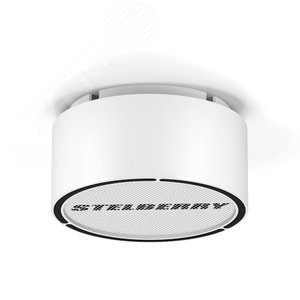 Громкоговоритель Stelberry F-306W белый           потолочно-настенный на 6 Ватт