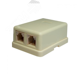 Розетка телефонная 6P4C (RJ-11). 2 порта