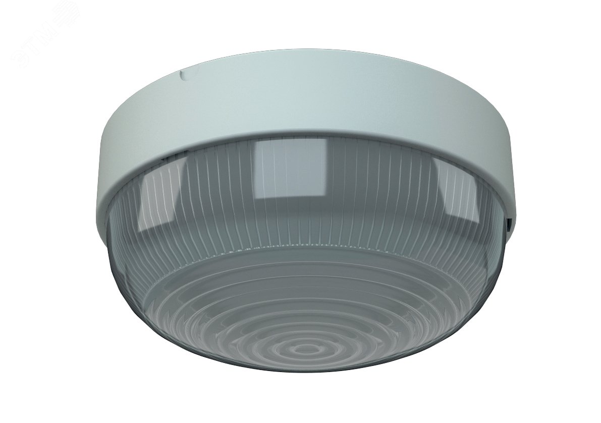 Светильник светодиодный TS LED 100 4000K IP44 круглый