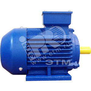 Электродвигатель трехфазный асинхронный АИР 100L6У1 2,2 кВт 1000 об/мин 220/380В IM1081 (B3) IP55 ЭМШ
