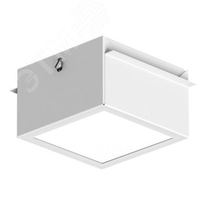 Светильник TLGD01 OL ECP IP54