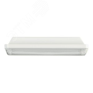 Светильник светодиодный TLM02 OL 12w 850Лм 5000К IP65