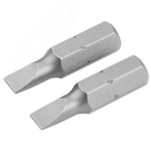 Набор вставок (бит) торцевых 1/4", Slotted, 4,5х0,6 мм, 25 мм, 2 предмета TOLSEN TT20203