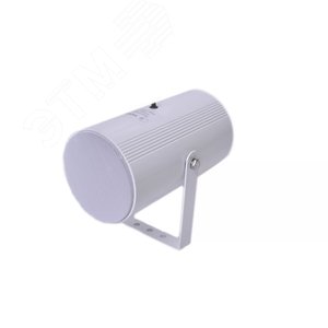 Оповещатель речевой Глагол настенного монтажа