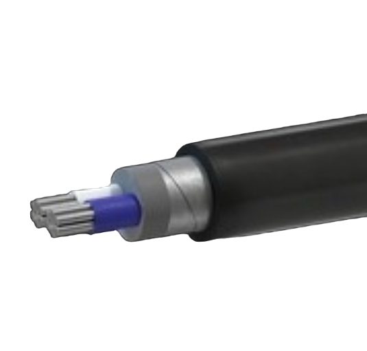 Кабель силовой АВБШв 2х16мк(N)-1 ТРТС