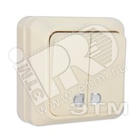 Олимп Выключатель двухклавишный наружный 10А с индикацией бежевый