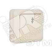 Выключатель проходной одноклавишный наружный Олимп 10А бежевый