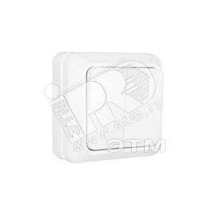 Олимп Выключатель двухклавишный белый наружный