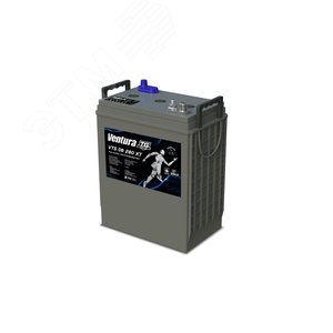 Аккумулятор 6В 245Ач