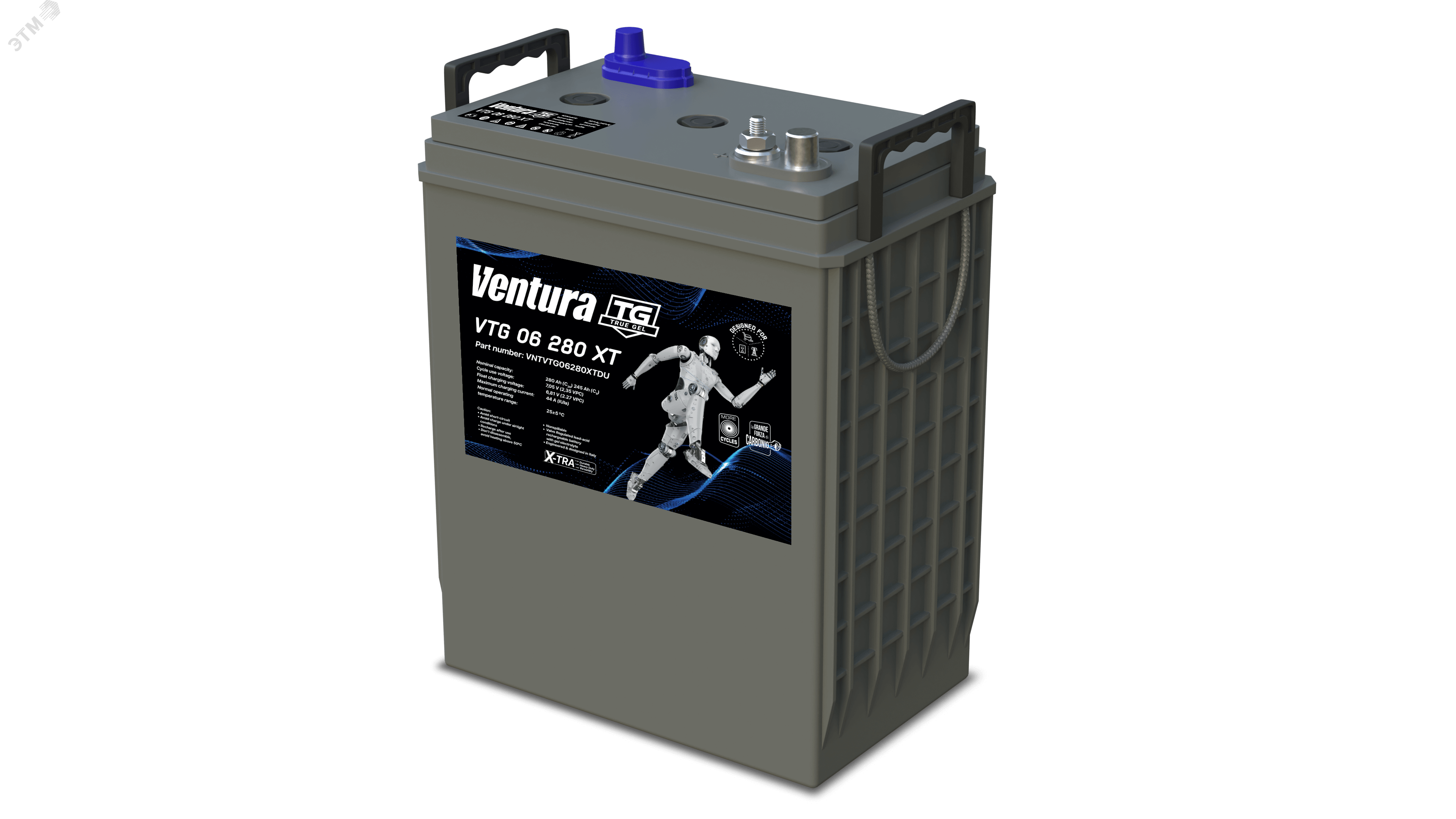 Аккумулятор 6В 245Ач