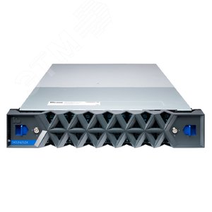 Система хранения данных TATLIN.FLEX.ONE, экономичная, одноконтроллерная