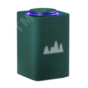Умная колонка Яндекс Станция Макс с Алисой, с Zigbee, 65Вт Green (в комплекте пульт ДУ YNDX-00402)
