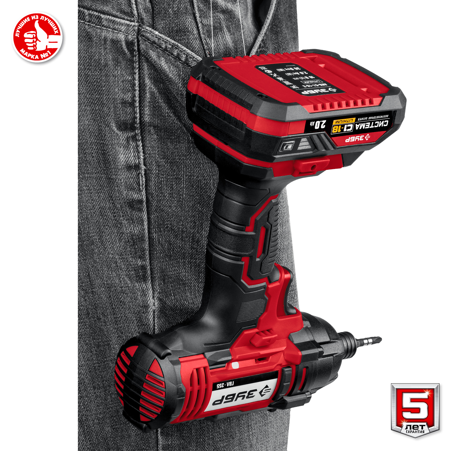 ЗУБР С1-18, 18 В, 250 Н·м, 2 АКБ (2 А·ч), винтоверт ударный, кейс (ГВЛ-255-22)