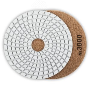 ЗУБР 100 мм, №3000, мокрое шлифование, алмазный гибкий шлифовальный круг АГШК, Профессионал (29866-3000)