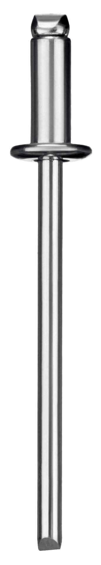 ЗУБР 3.2 x 8 мм, 50 шт, стальные заклепки, Профессионал (313126-32-08)