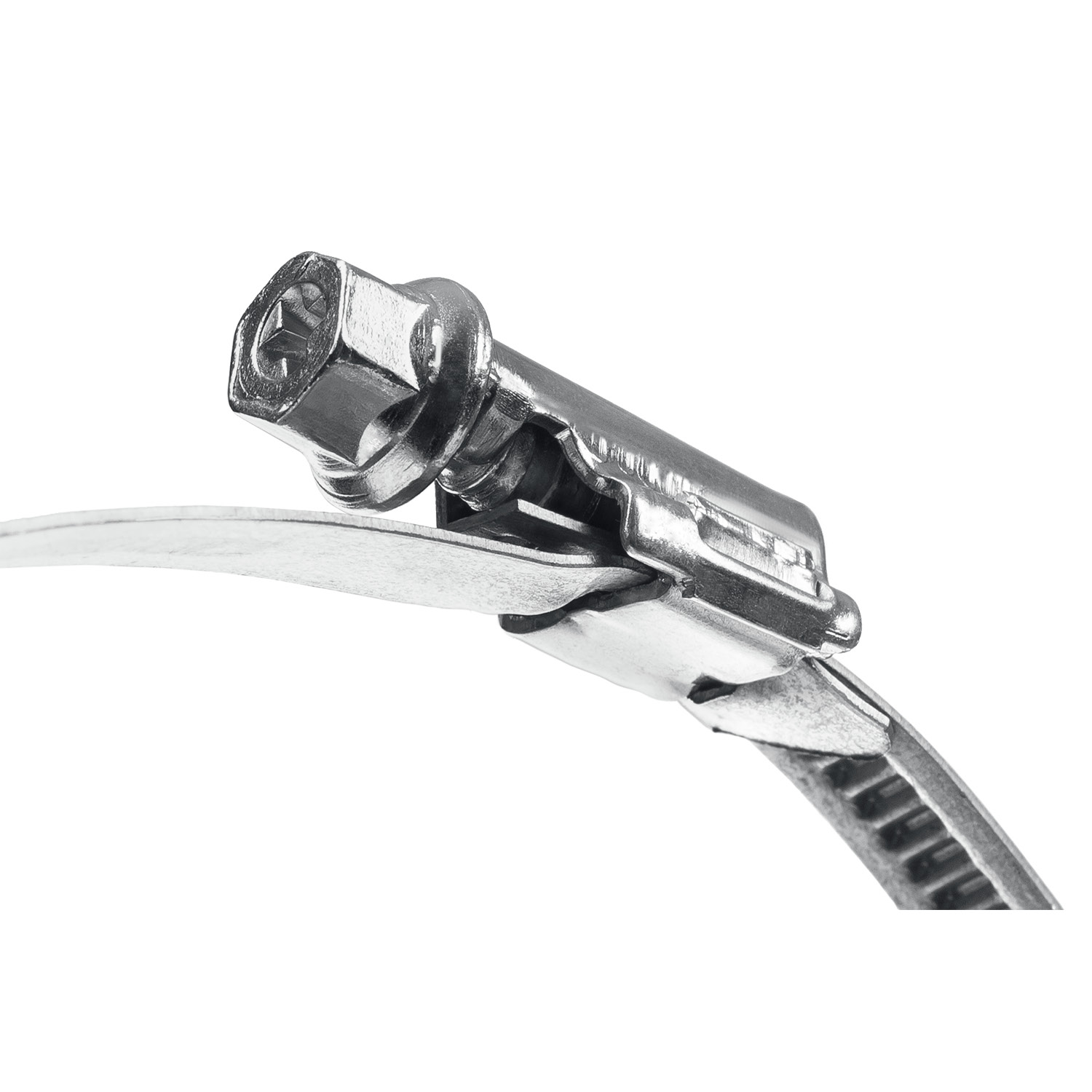 ЗУБР Х-9Н, 20 - 32 мм, накатная лента 9 мм, цинк, 50 шт, червячный хомут (37807-32)