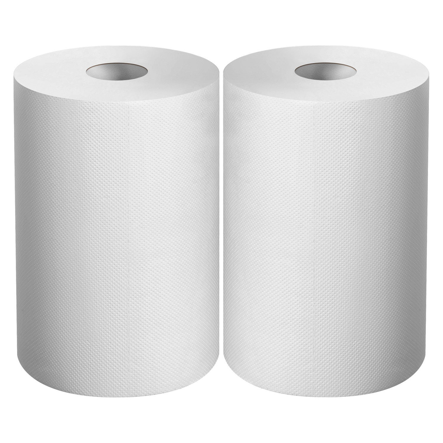 ЗУБР 20 х 25 см, 2-х слойная, в рулоне, 400 листов, 2 рулона, протирочная бумага, Профессионал (12822-20)