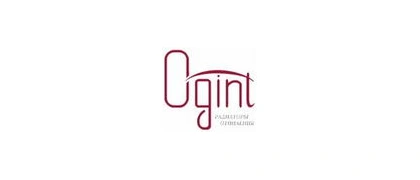 Ogint