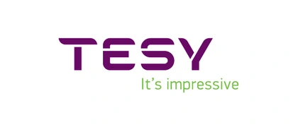 Теси